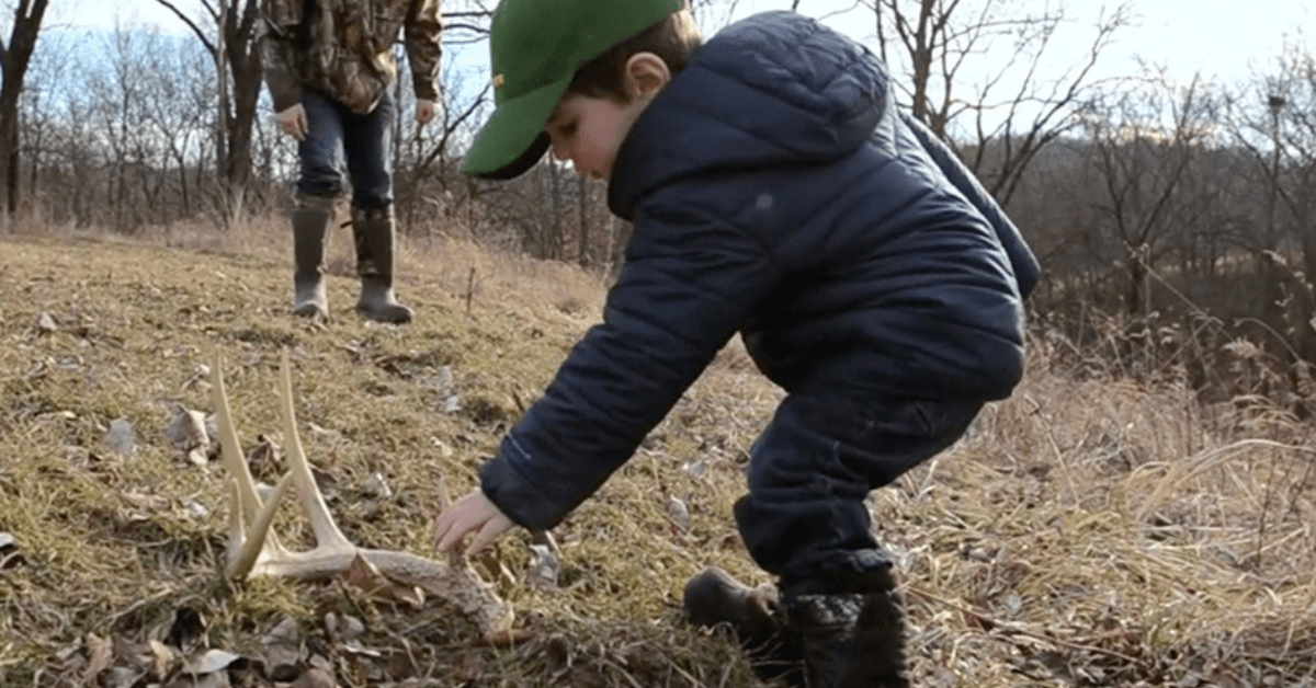 Featured Image for The Real Value of Recreational and Hunting Land